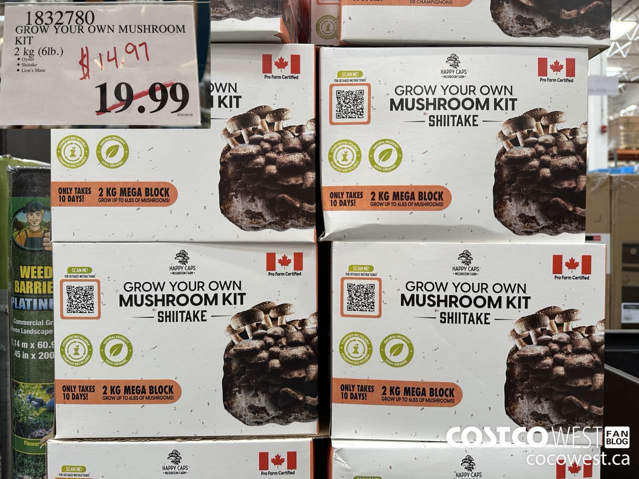 1832780 GROW YOUR OWN MUSHROOM KIT 2 KG (6LB) $14.97