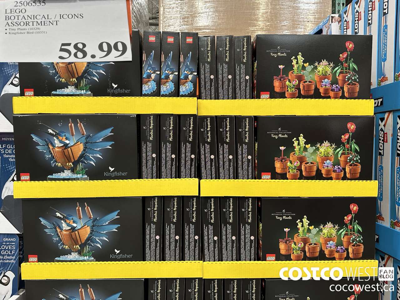 2506535 LEGO BOTANICALS / ICONS ASSORTMENT $58.99