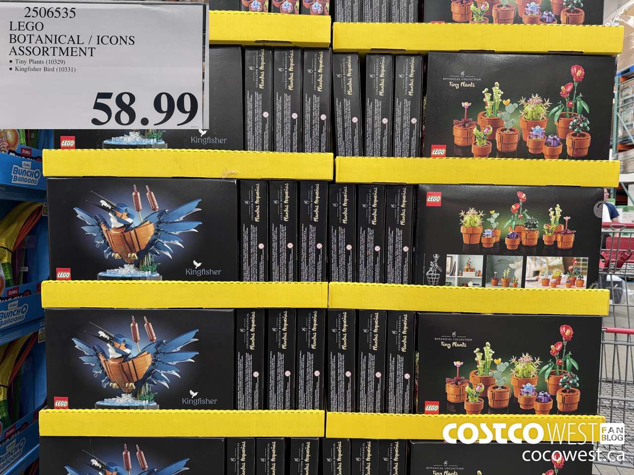 2506535 LEGO BOTANICALS / ICONS ASSORTMENT $58.99