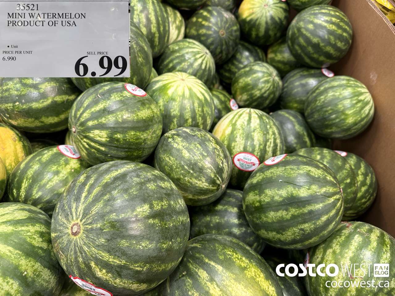 35521 MINI WATERMELON PRODUCT OF USA $6.99