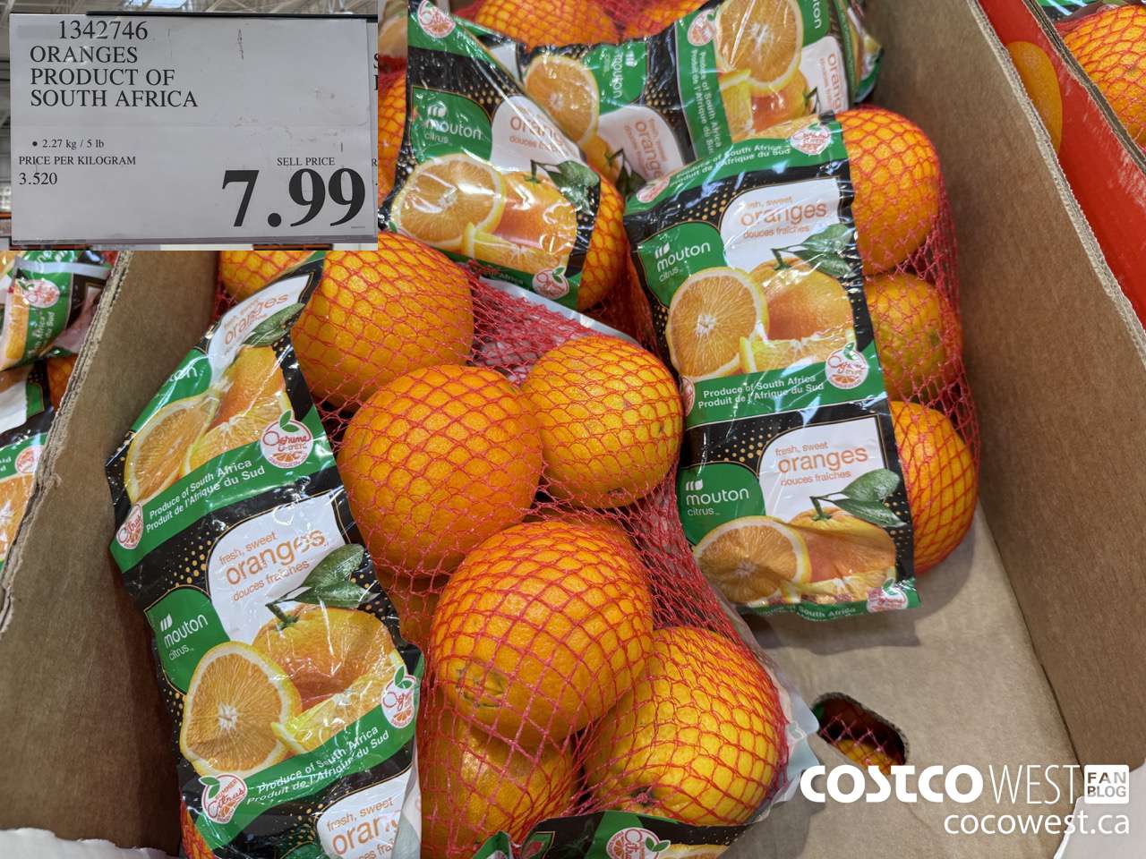 1342746 ORANGES PRODUCT OF SOUTH AFRICA $7.99