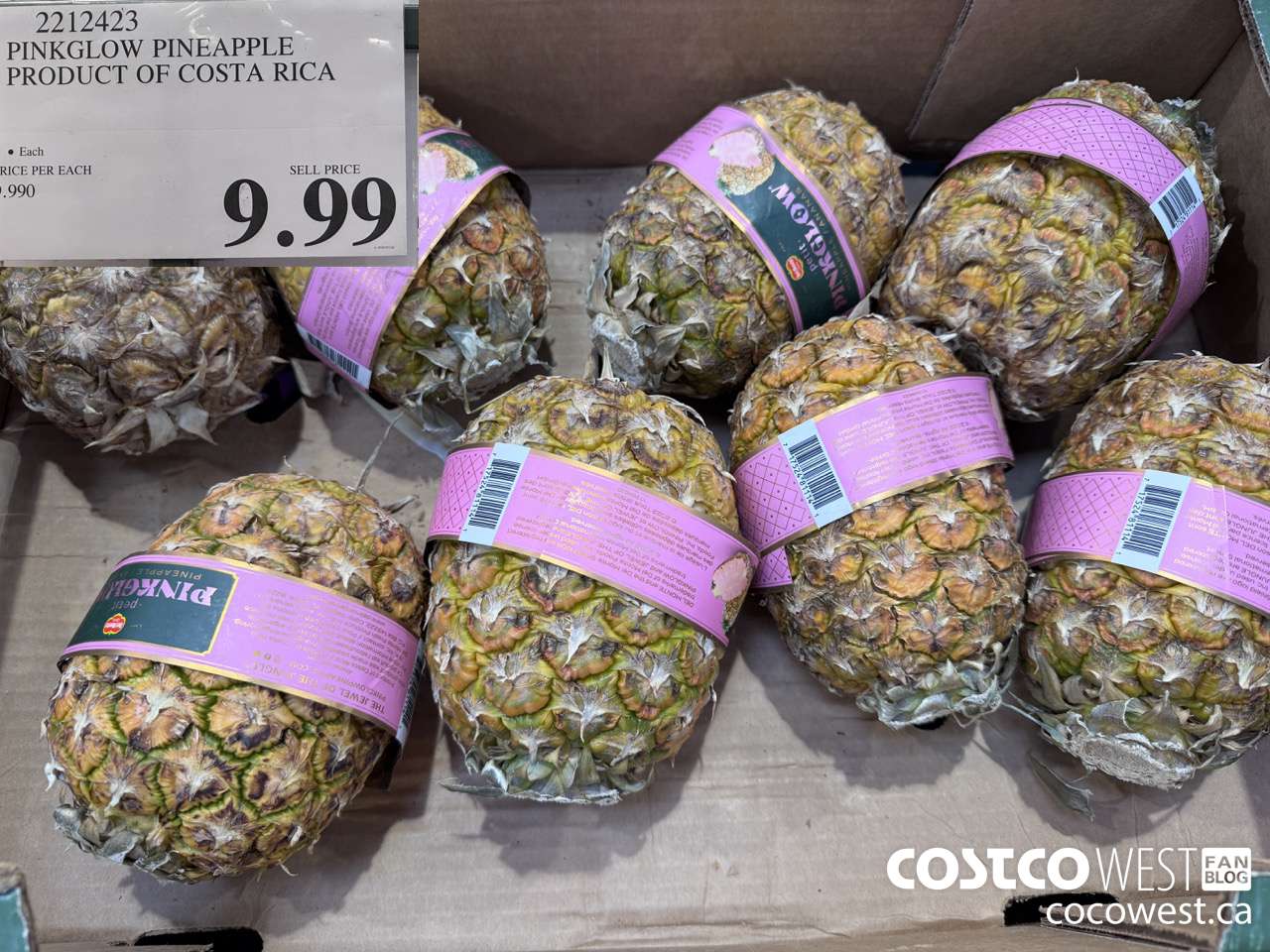 2212423 PINKGLOW PINEAPPLE PRODUCT OF COSTA RICA  $9.99