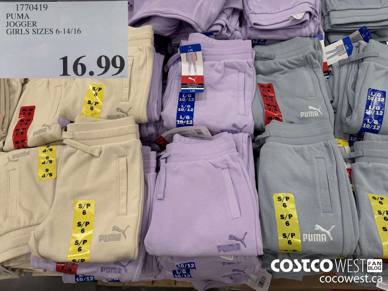 1770419 PUMA JOGGER GIRLS SIZES 6-14/16 $16.99