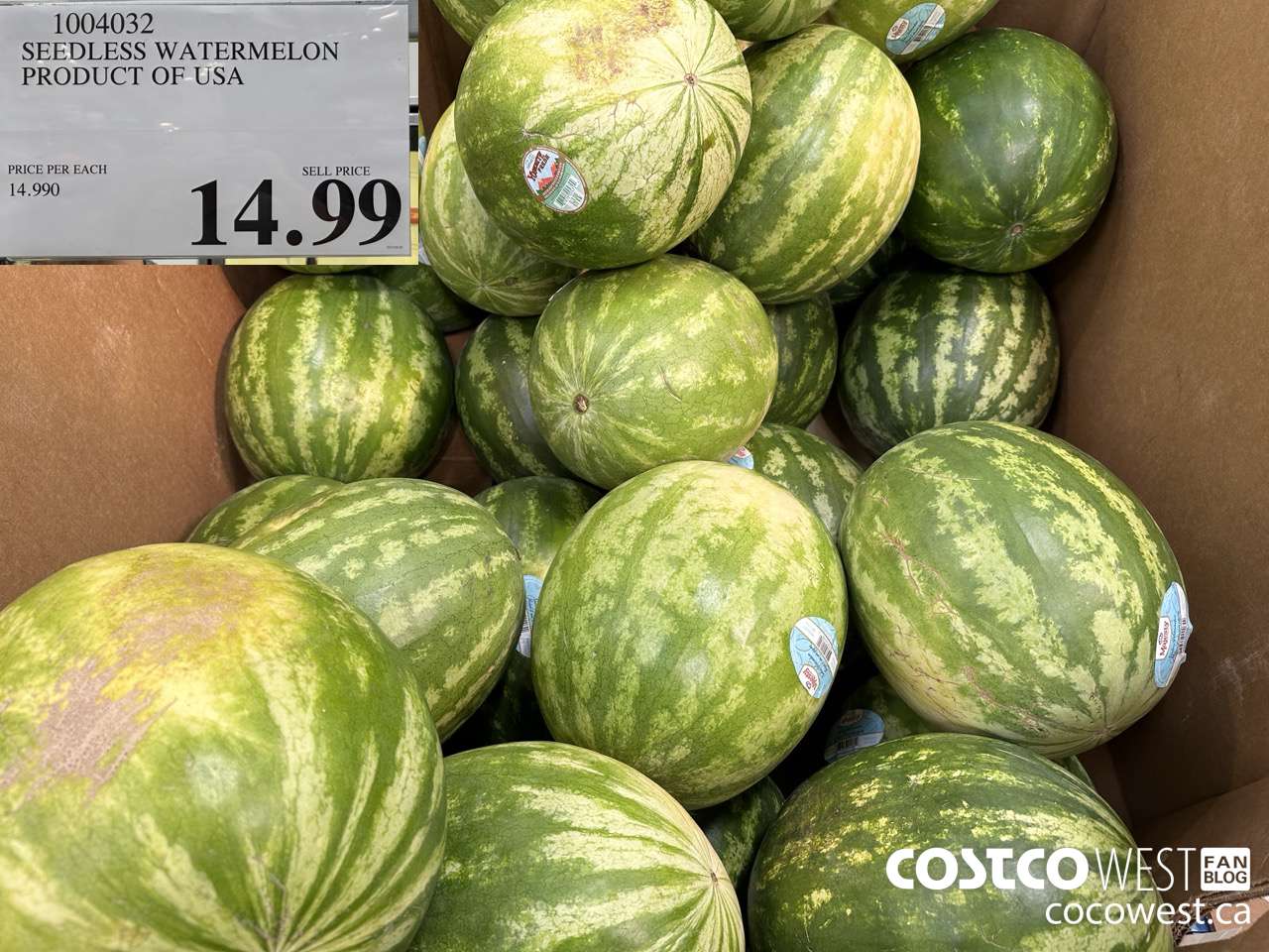 1004032 SEEDLESS WATERMELON PRODUCT OF USA $14.99