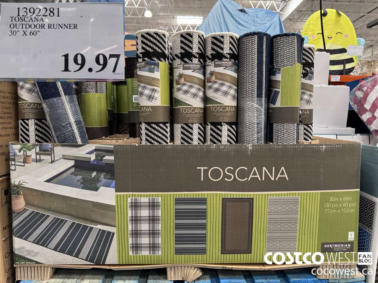 1392281 TOSCANA OUTDOOR RUG 30