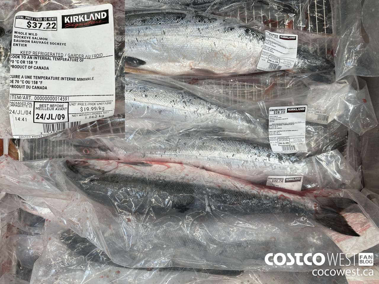 14591 WHOLE WILD SOCKEYE SALMON $19.99