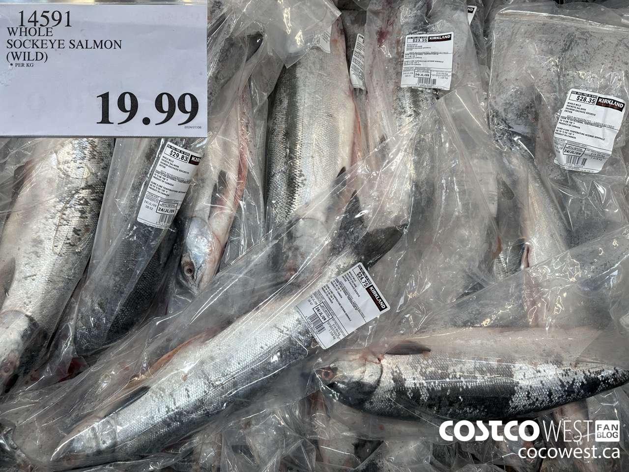 14591 WHOLE WILD SOCKEYE SALMON $19.99
