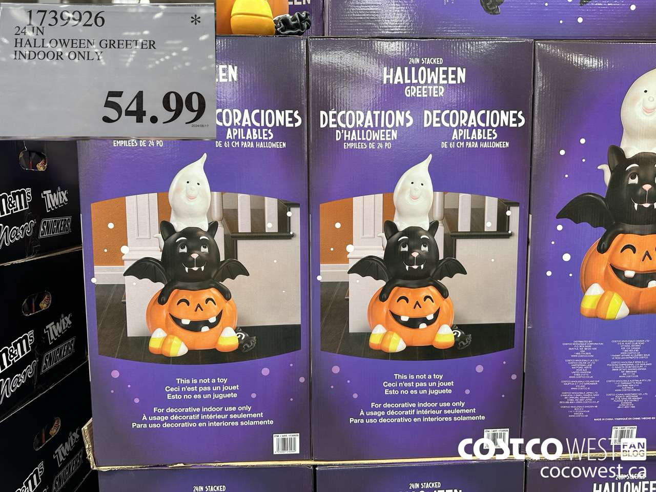 1739926 24 IN HALLOWEEN GREETER INDOOR ONLY $54.99