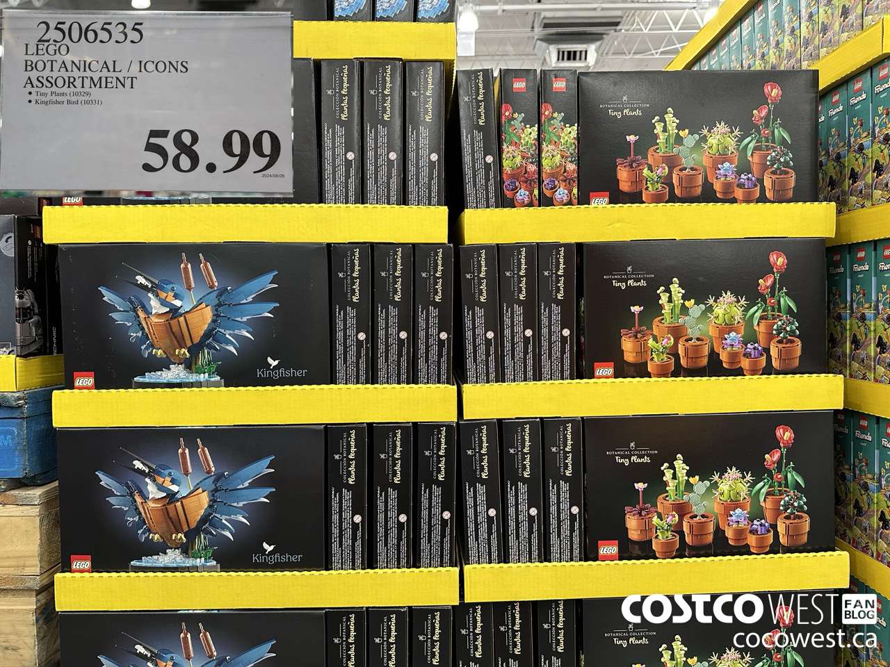 2506535 LEGO BOTANICALS / ICONS ASSORTMENT $58.99