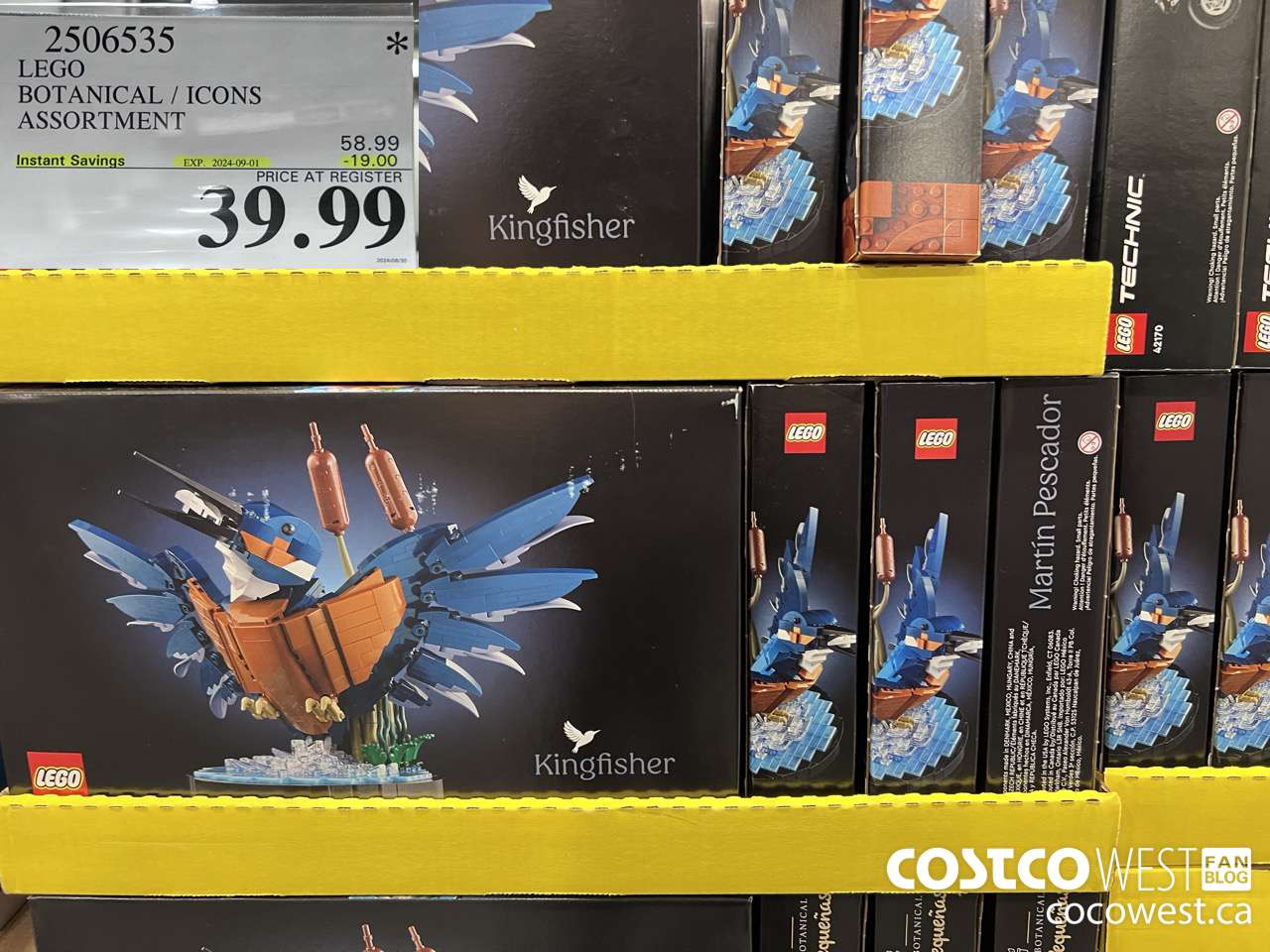 2506535 LEGO BOTANICALS / ICONS ASSORTMENT ($19.00 INSTANT SAVINGS EXPIRES ON 2024-09-01) $39.99