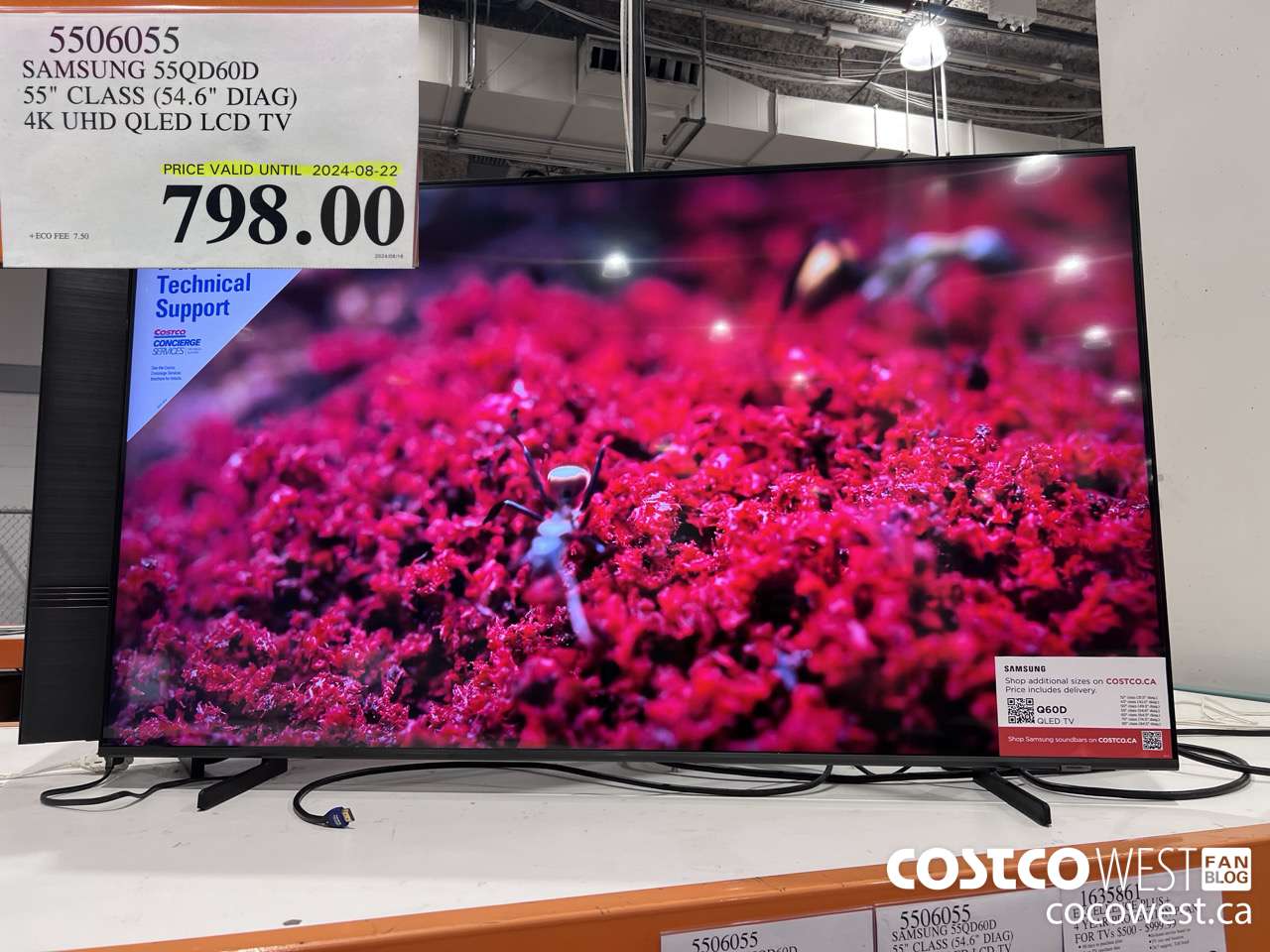 5506055 SAMSUNG 55QD60D 55