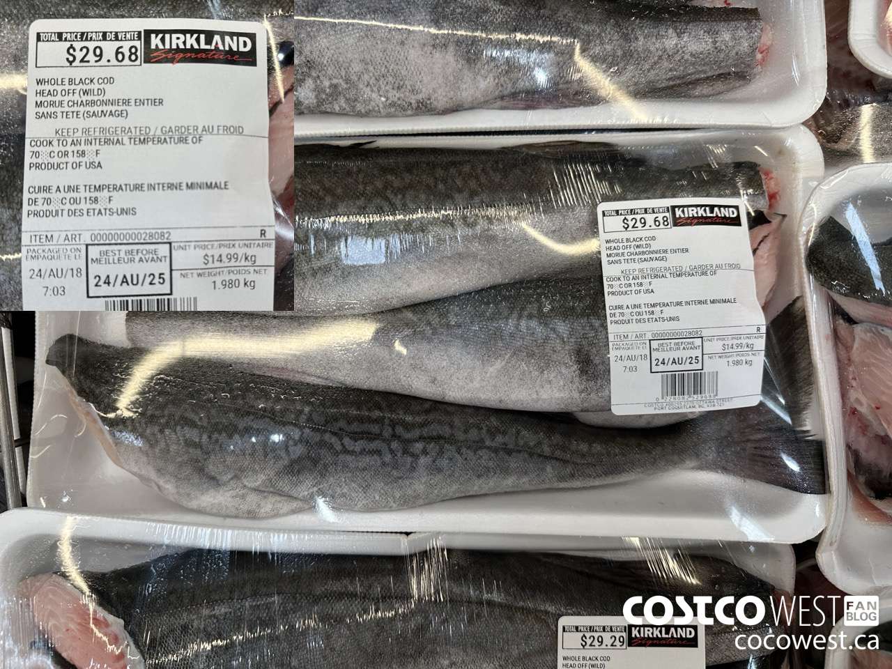 28082 WHOLE BLACK COD HEAD OFF (WILD) $14.99