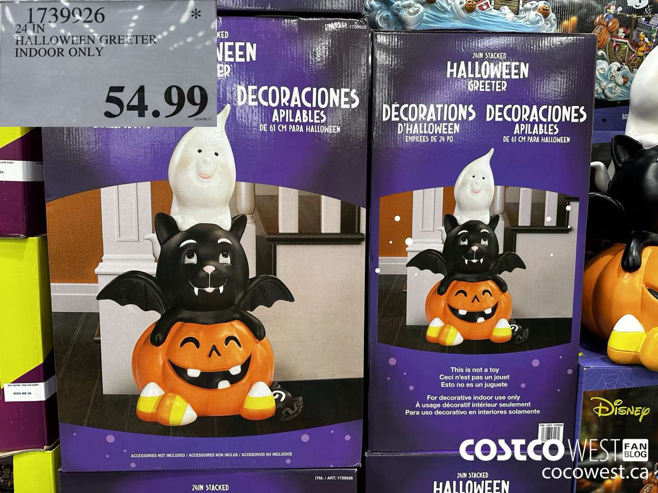 1739926 24 IN HALLOWEEN GREETER INDOOR ONLY $54.99