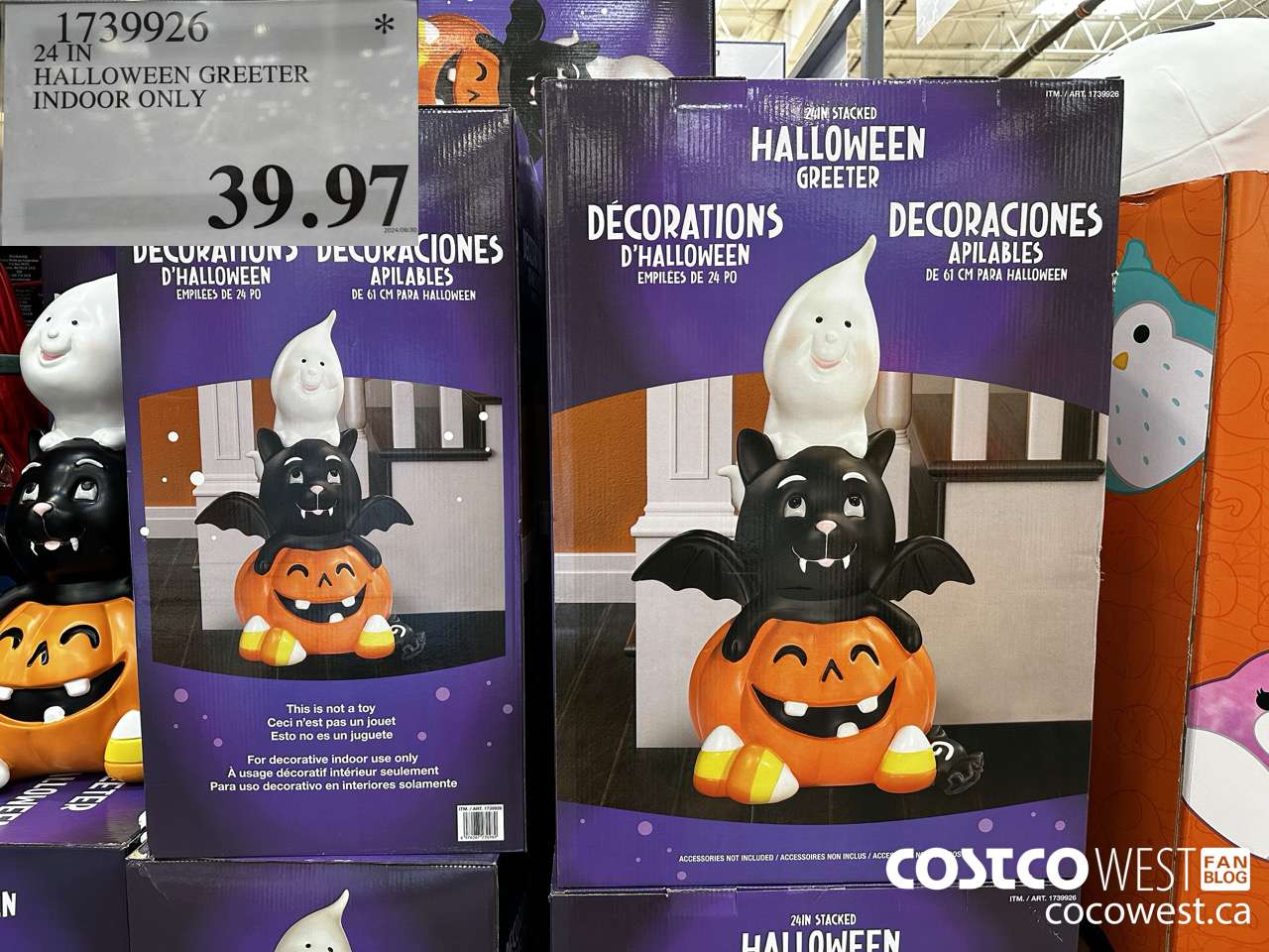 1739926 24 IN HALLOWEEN GREETER INDOOR ONLY $39.97