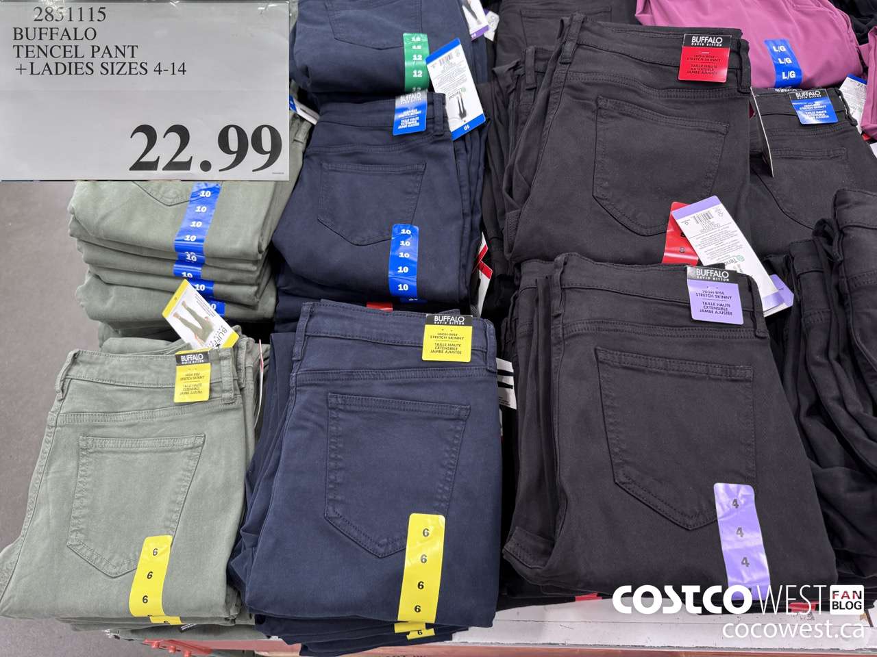 2851115 BUFFALO TENCEL PANT LADIES SIZES 4-14 $22.99