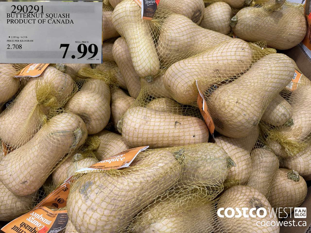290291 BUTTERNUT SQUASH PRODUCT OF CANADA $7.99