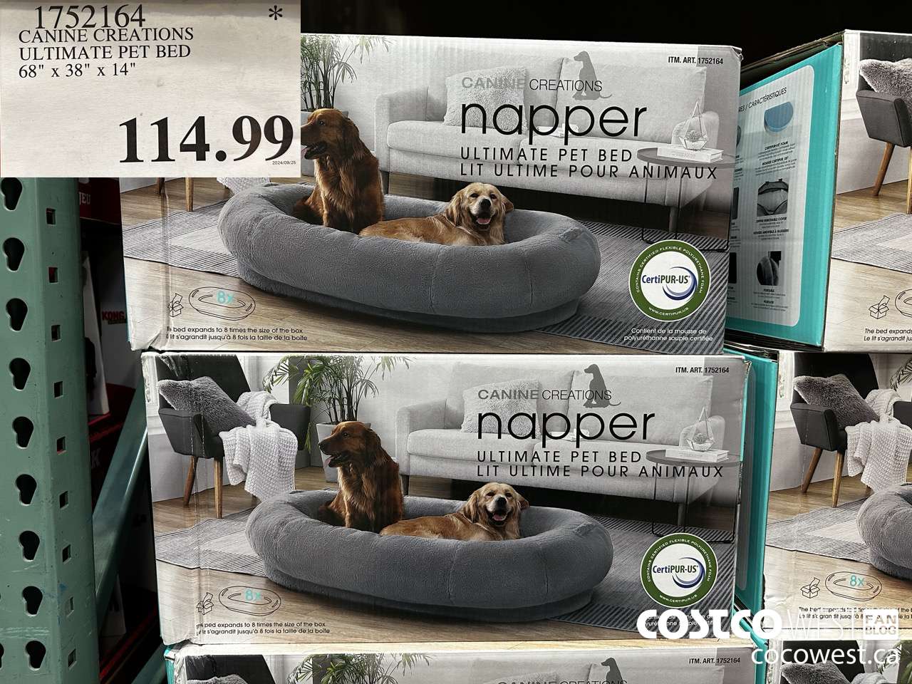 1752164 CANINE CREATIONS ULTIMATE PET BED 68