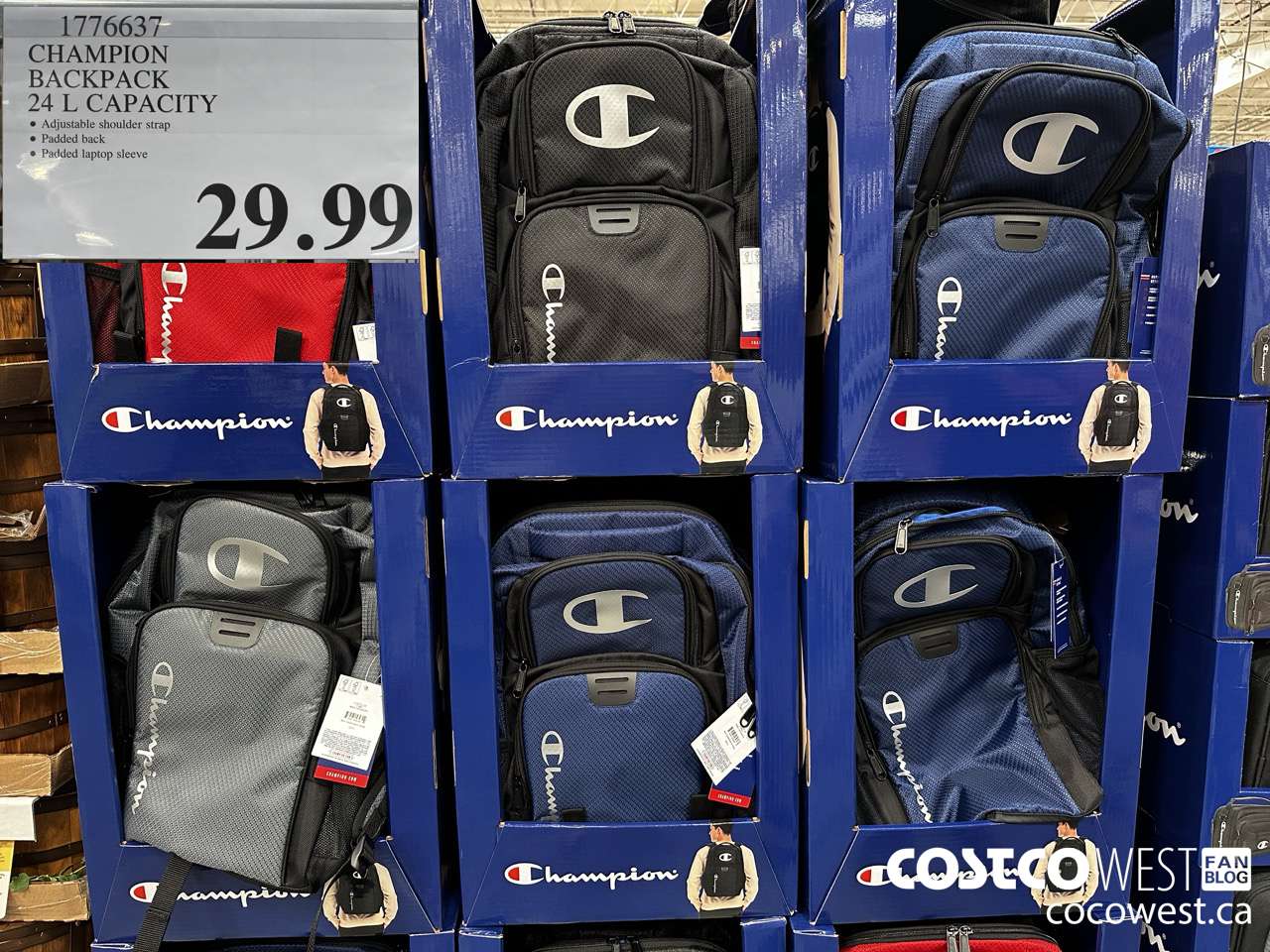 1776637 CHAMPION BACKPACK 24 L CAPACITY $29.99