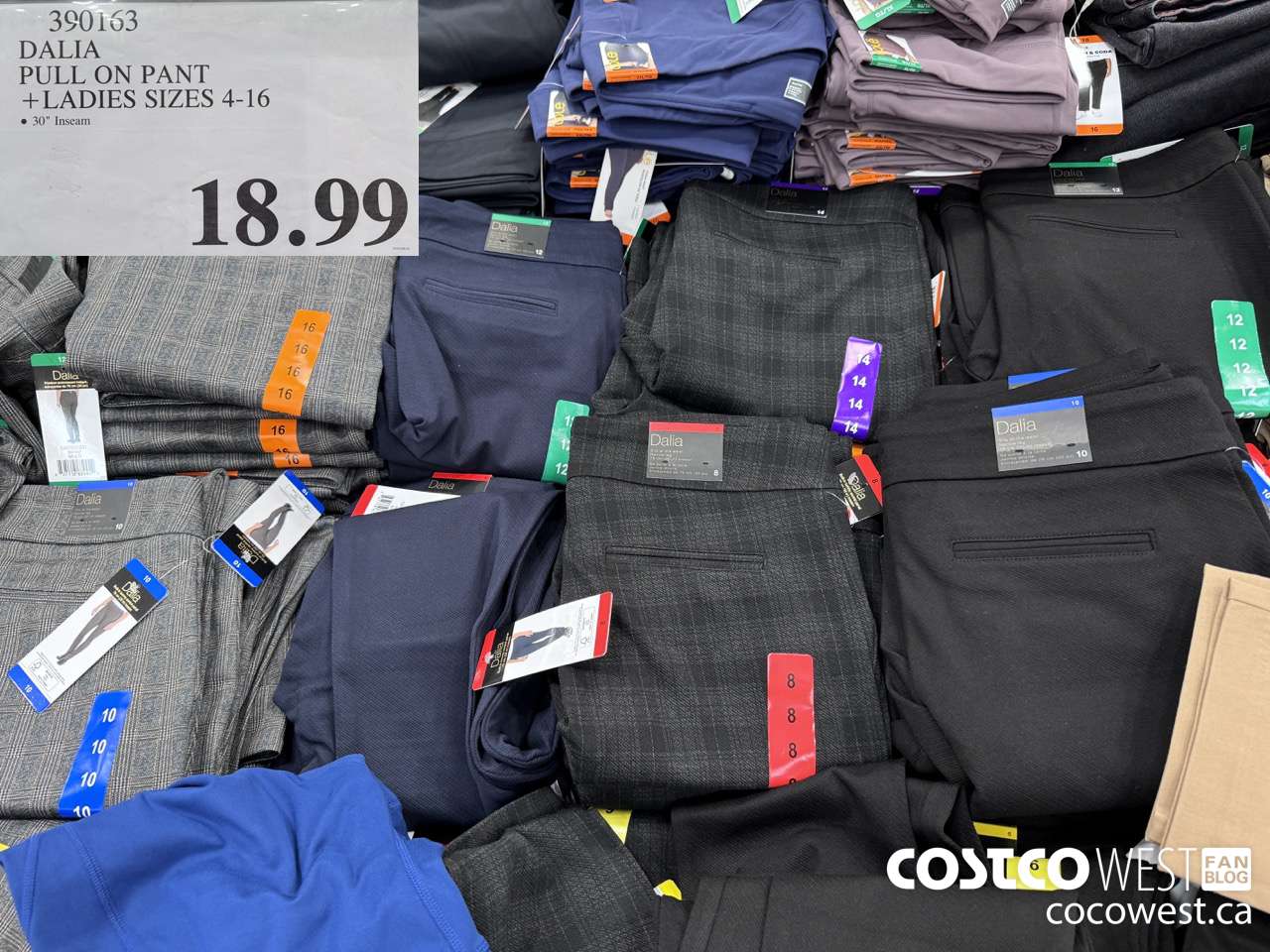 390163 DALIA PULL ON PANT LADIES SIZES 4-16 $18.99