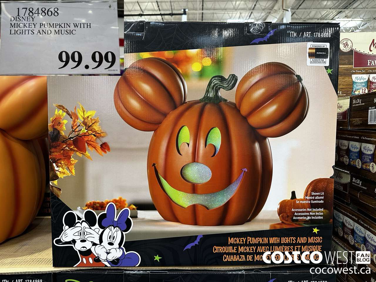 1784868 DISNEY MICKEY PUMPKIN WITH LIGHTS AND MUSIC $99.99