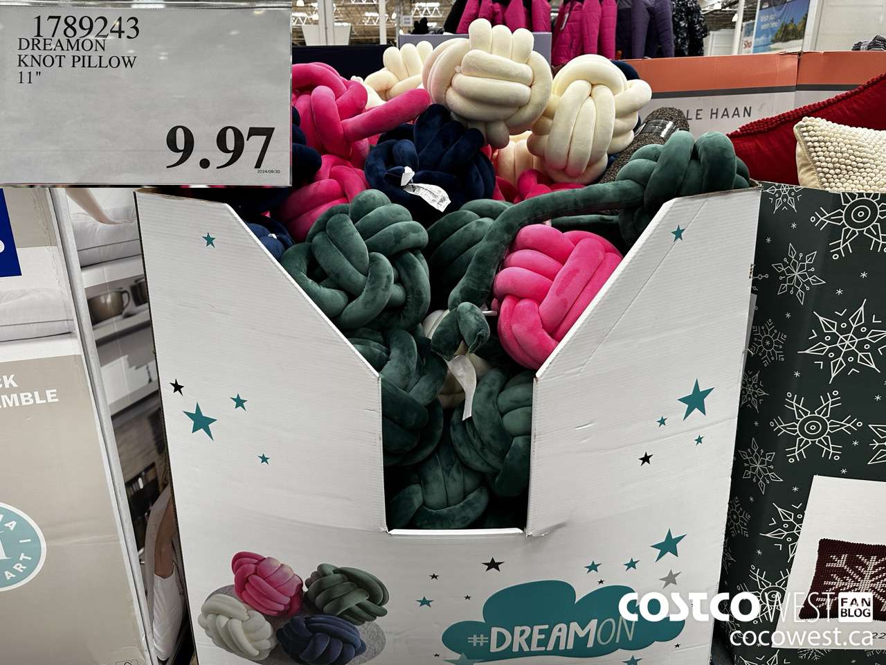 1789243 DREAMON KNOT PILLOW 11