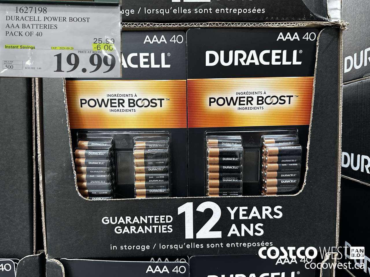 1627198 DURACELL POWER BOOST AAA BATTERIES PACK OF 40 ($6.00 INSTANT SAVINGS EXPIRES ON 2024-09-29) $19.99