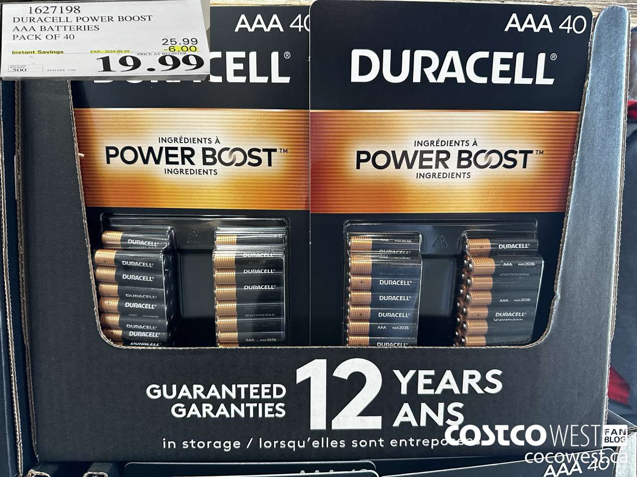 1627198 DURACELL POWER BOOST AAA BATTERIES PACK OF 40 ($6.00 INSTANT SAVINGS EXPIRES ON 2024-09-29) $19.99