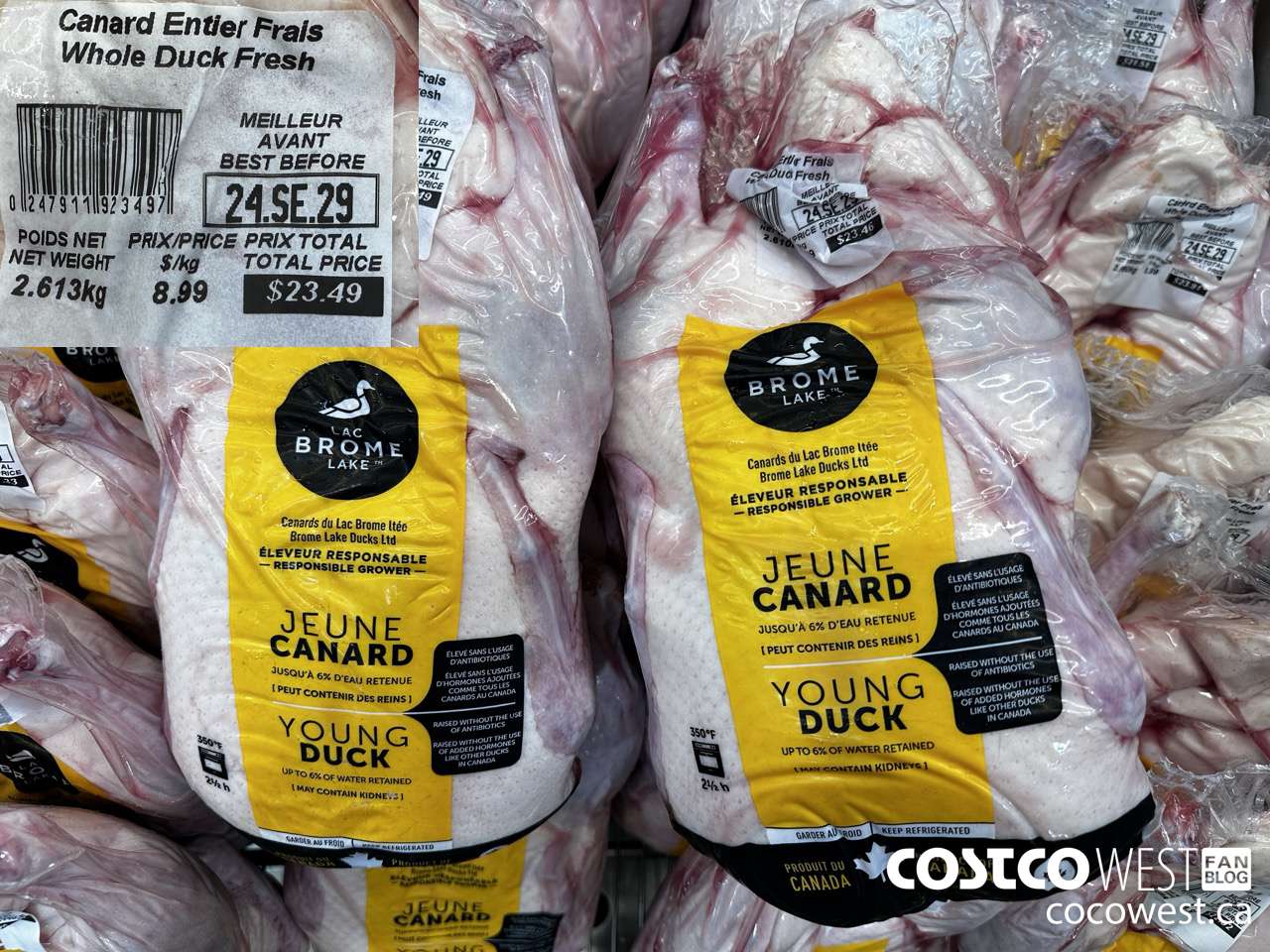 47911 FRESH WHOLE DUCK $8.99