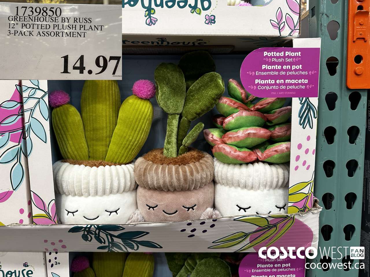 1739850 GREENHOUSE BY RUSS 12