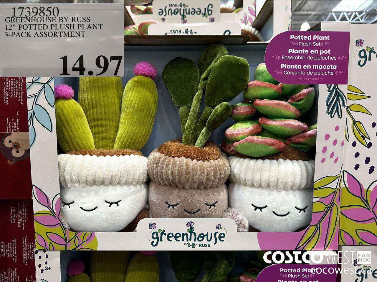 1739850 GREENHOUSE BY RUSS 12