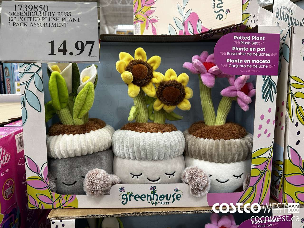 1739850 GREENHOUSE BY RUSS 12