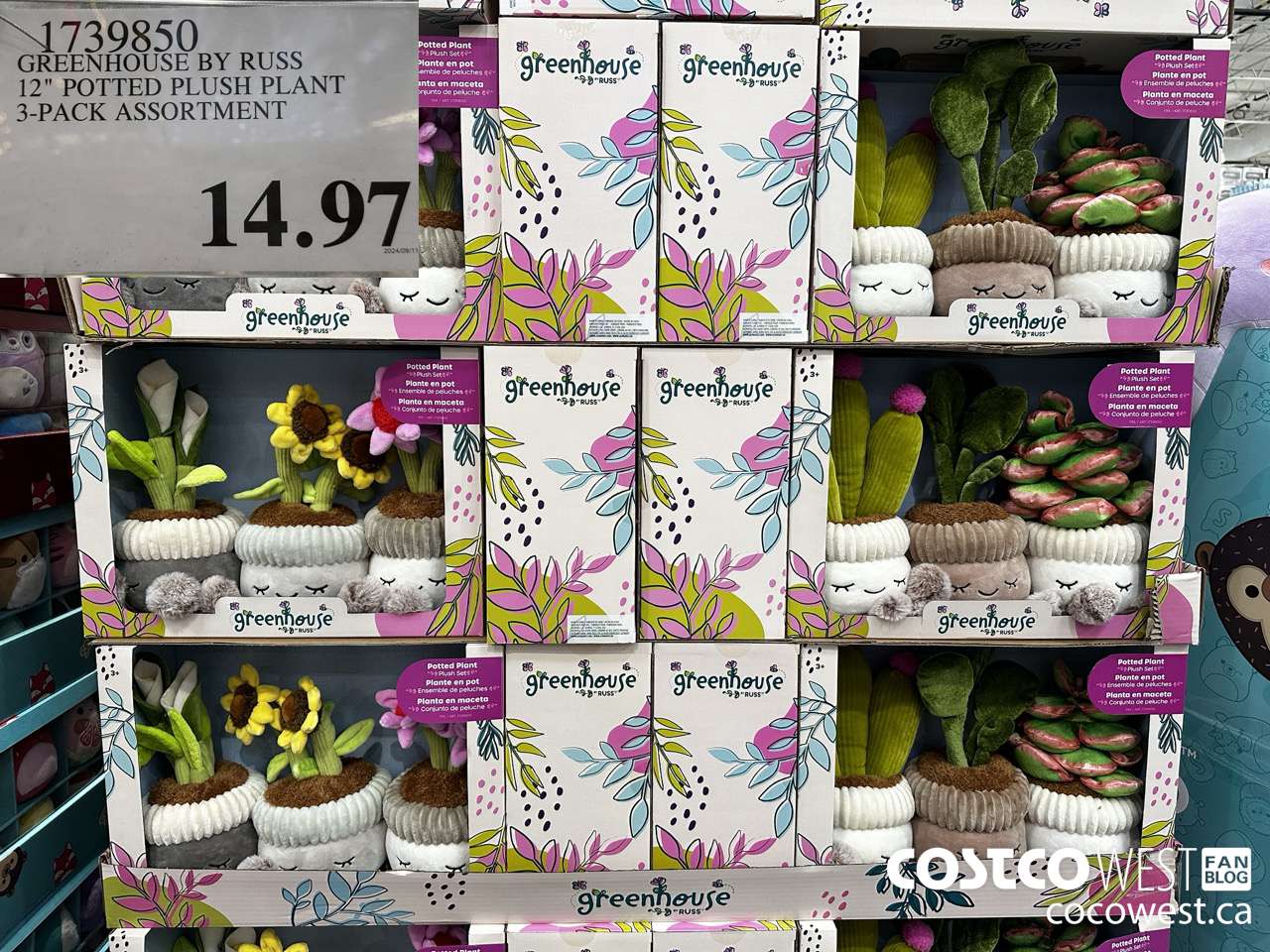 1739850 GREENHOUSE BY RUSS 12