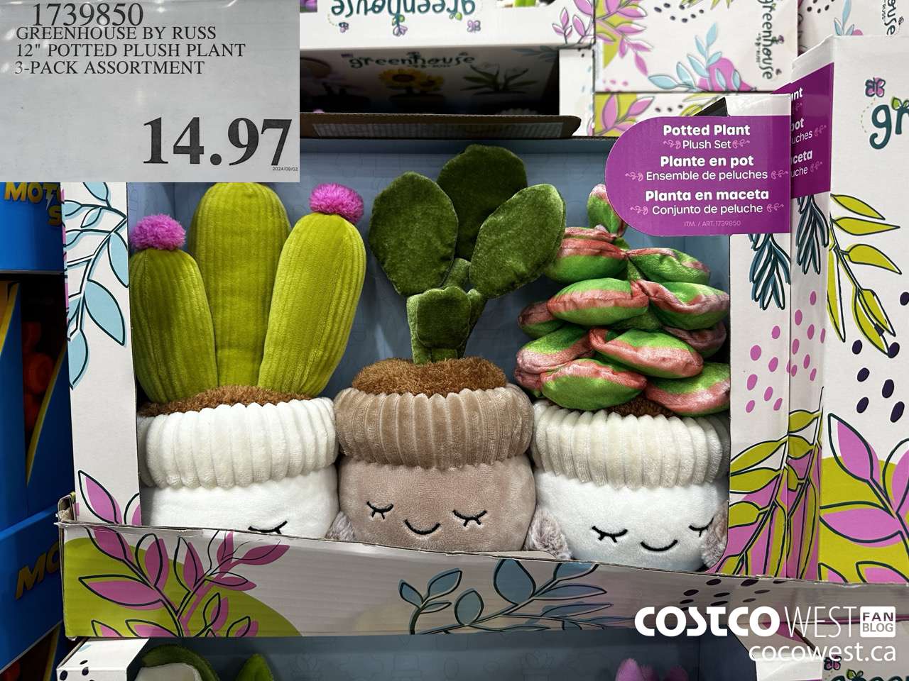 1739850 GREENHOUSE BY RUSS 12