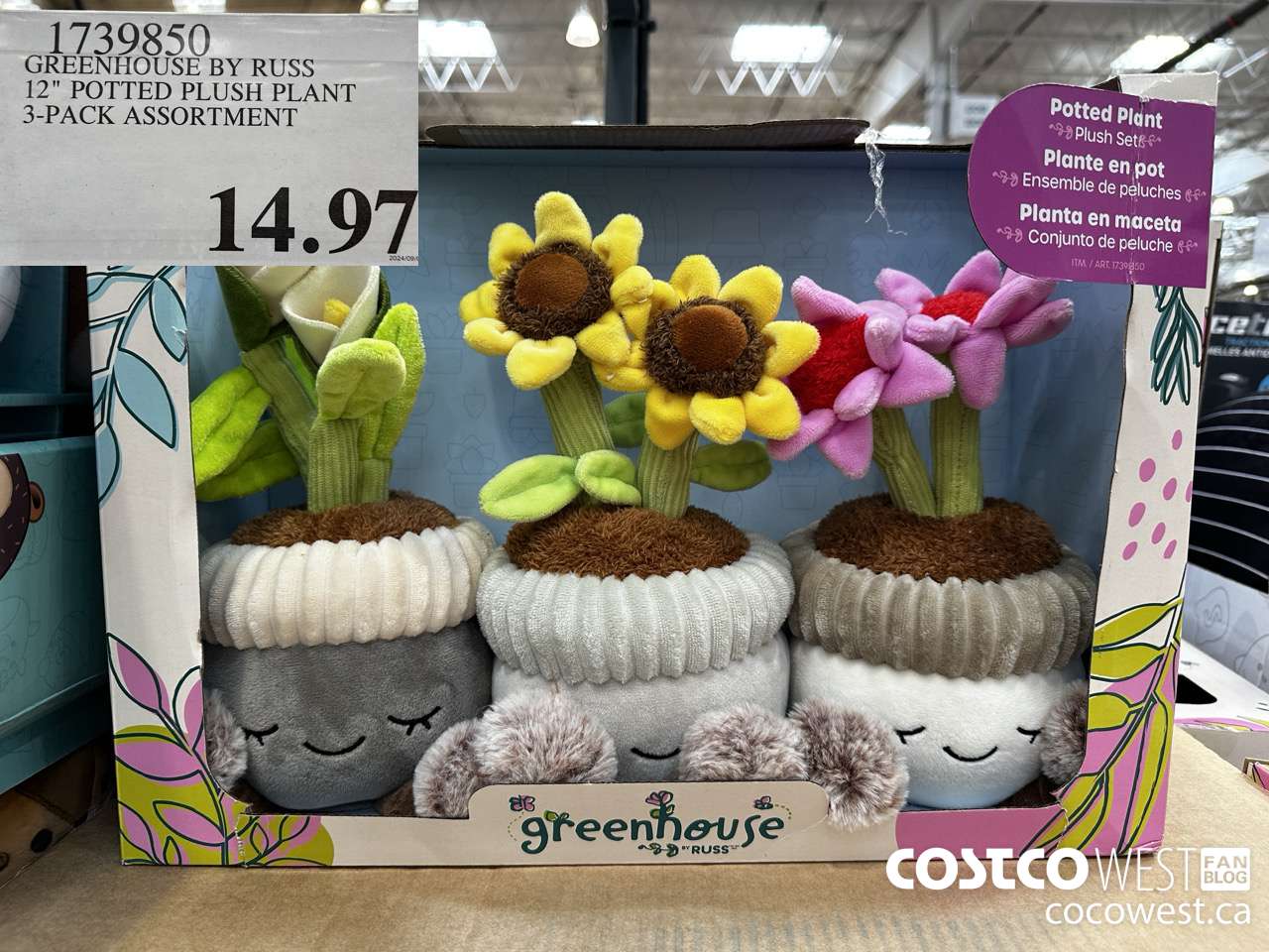 1739850 GREENHOUSE BY RUSS 12