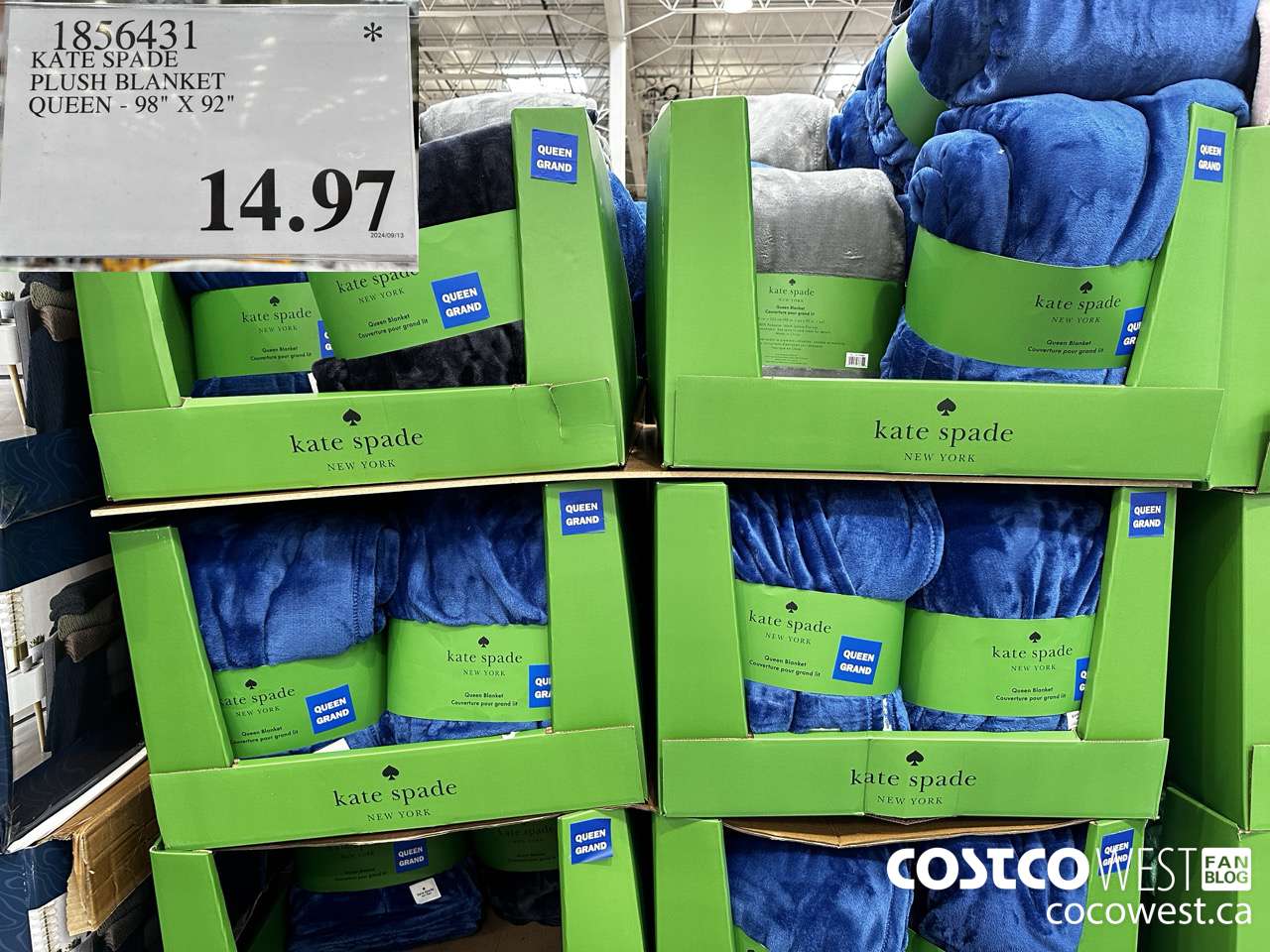 1856431 KATE SPADE PLUSH BLANKET QUEEN 98