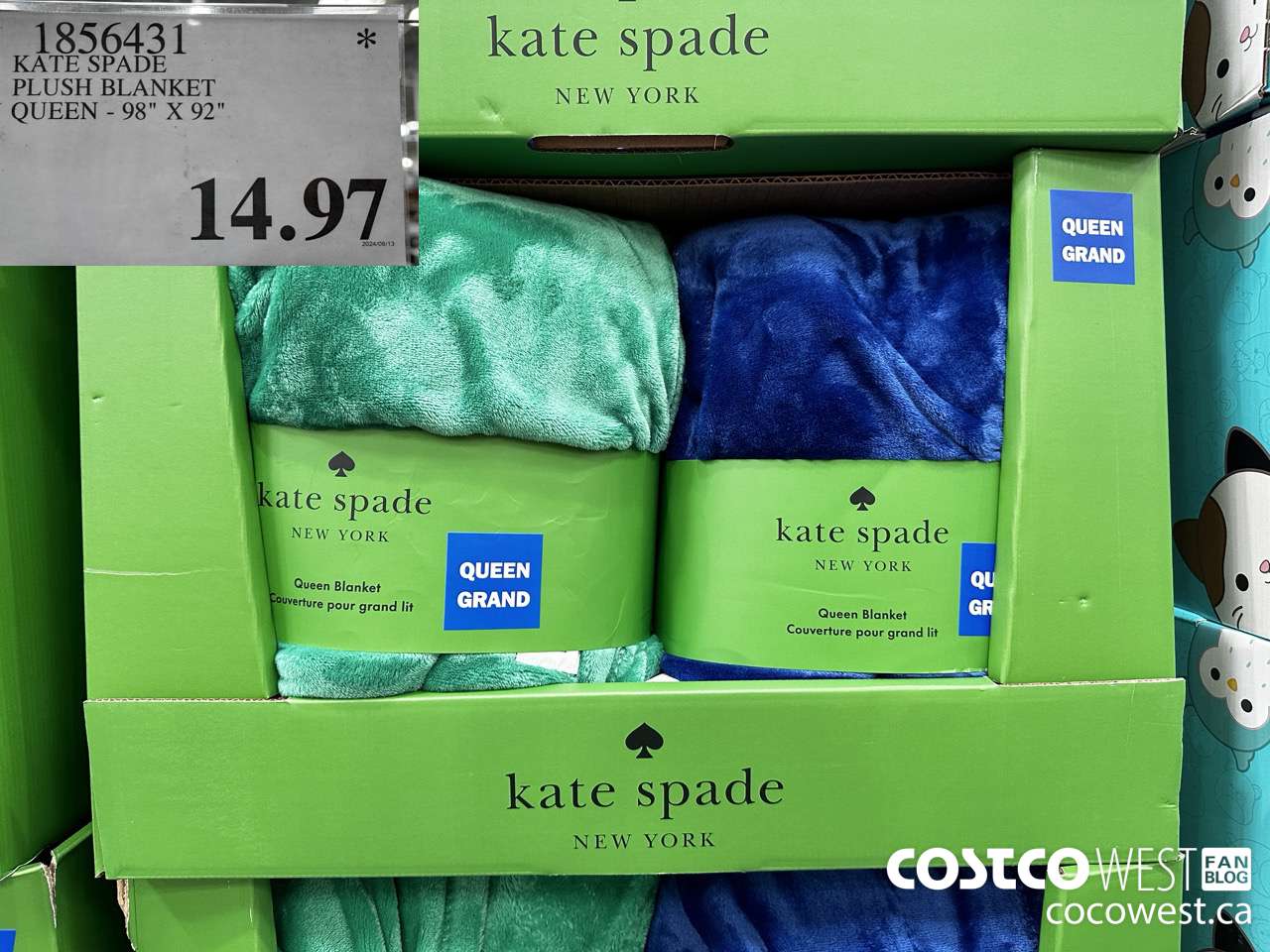 1856431 KATE SPADE PLUSH BLANKET QUEEN 98