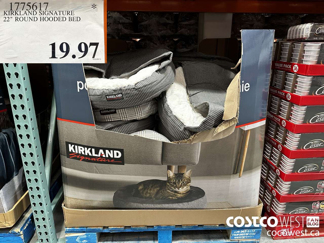 1775617 KIRKLAND SIGNATURE 22