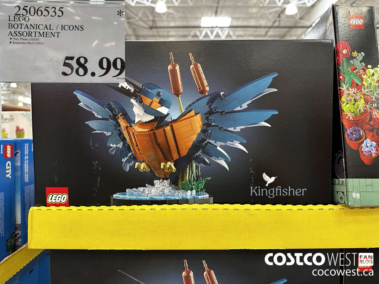 2506535 LEGO BOTANICALS / ICONS ASSORTMENT $58.99