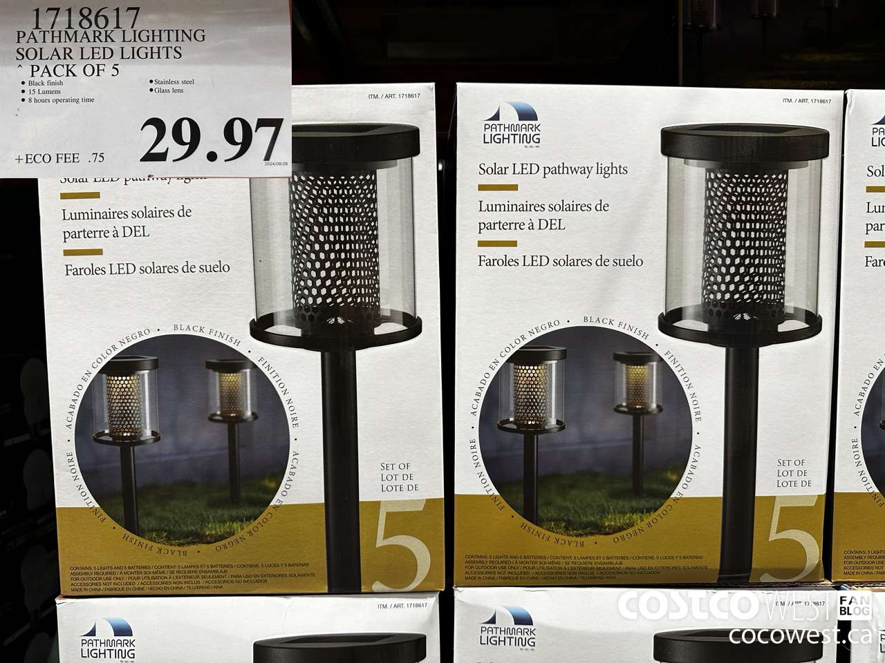 1718617 PATHMARK LIGHTING SOLAR LED LIGHTS PACK OF 5 $29.97