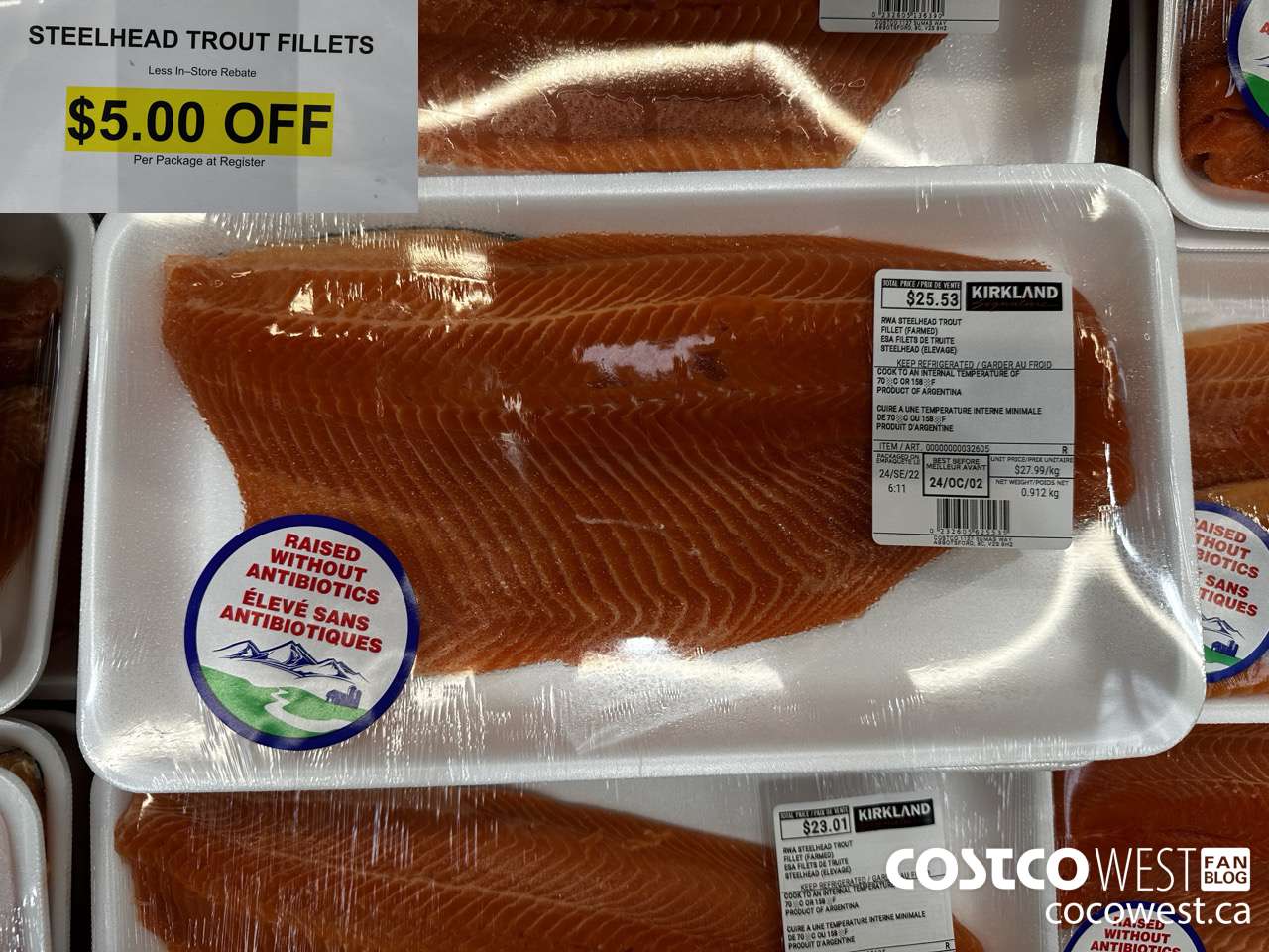 32605 STEELHEAD TROUT FILLETS ($5.00 INSTANT SAVINGS)