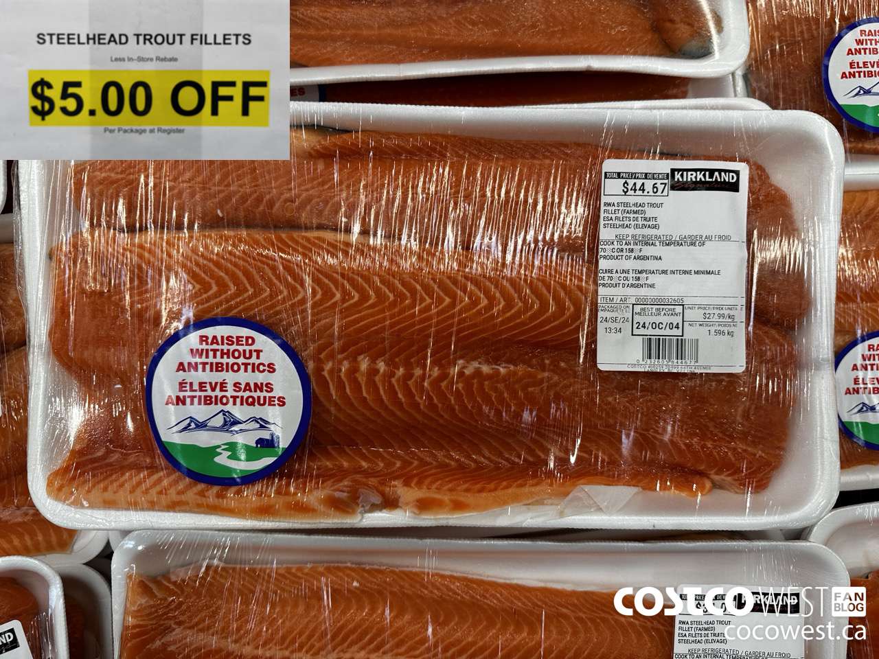 32605 STEELHEAD TROUT FILLETS ($5.00 INSTANT SAVINGS)