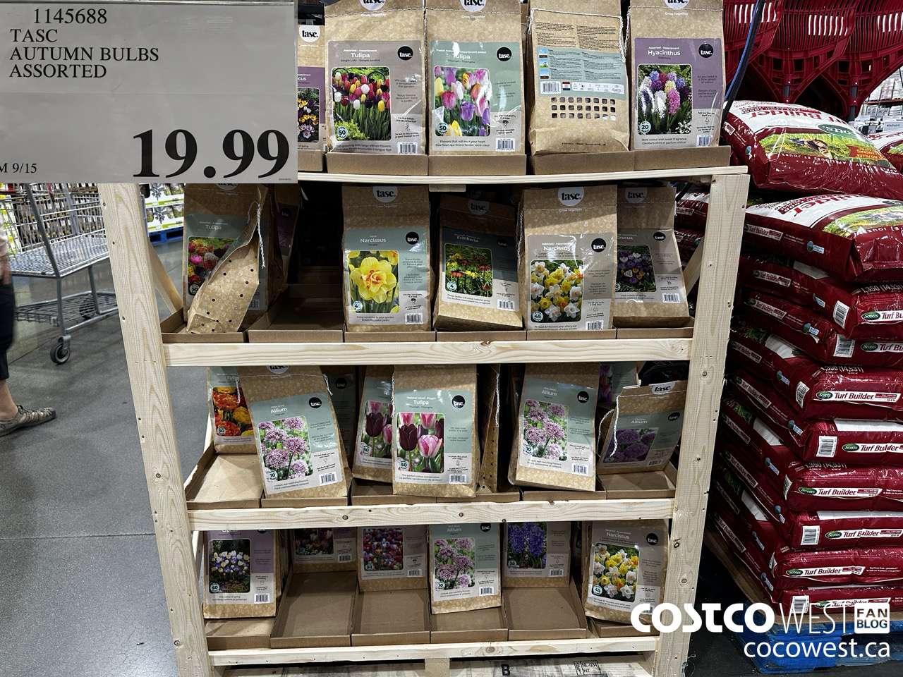 1145688 TASC AUTUMN BULBS ASSORTED $19.99