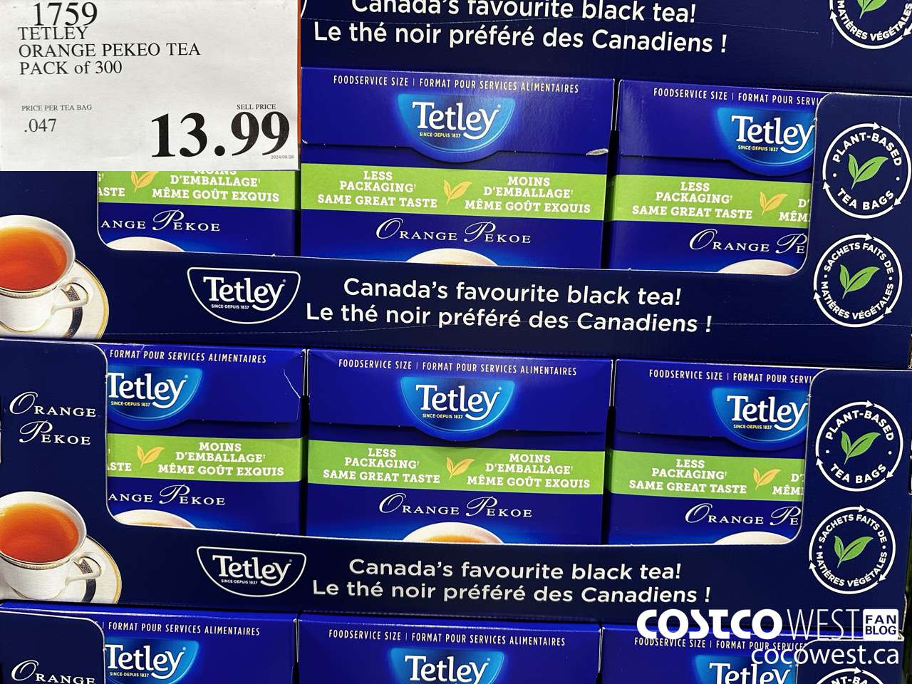 1759 TETLEY ORANGE PEKEO TEA PACK OF 300 $13.99