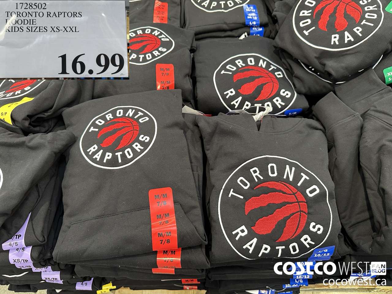 1728502 TORONTO RAPTORS HOODIE KIDS SIZES XS-XXL $16.99