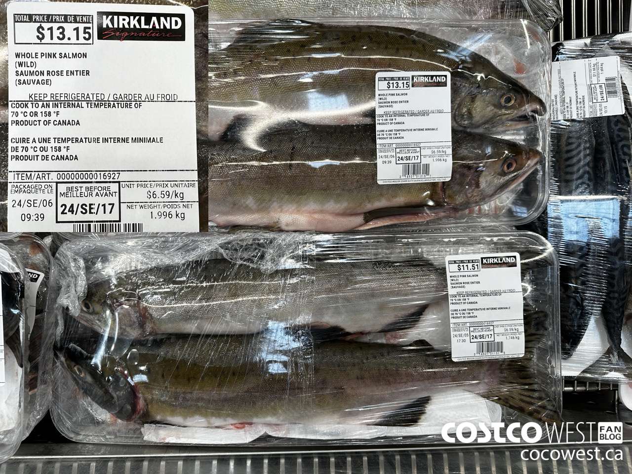 16927 WHOLE PINK SALMON (WILD) $6.59