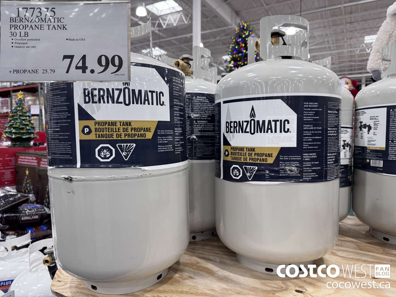 177375 BERNZOMATIC PROPANE TANK 30 LB $74.99