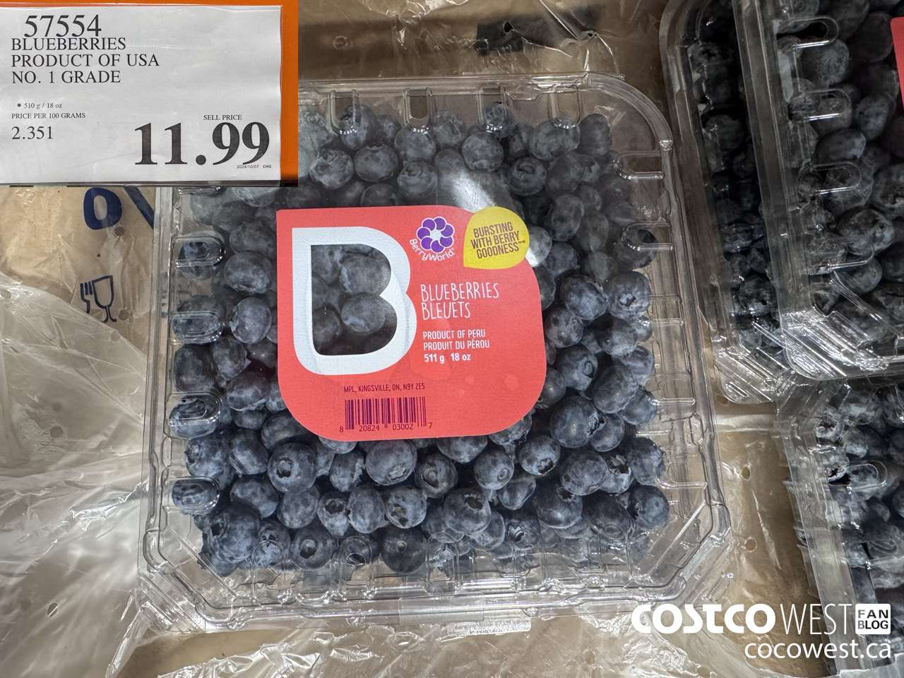 57554 BLUEBERRIES PRODUCT OF USA NO. 1 GRADE $11.99