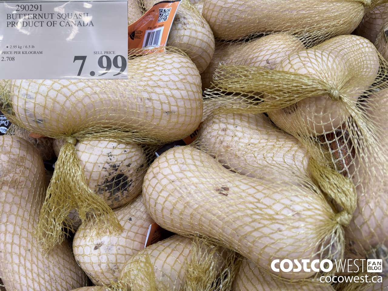 290291 BUTTERNUT SQUASH PRODUCT OF CANADA $7.99