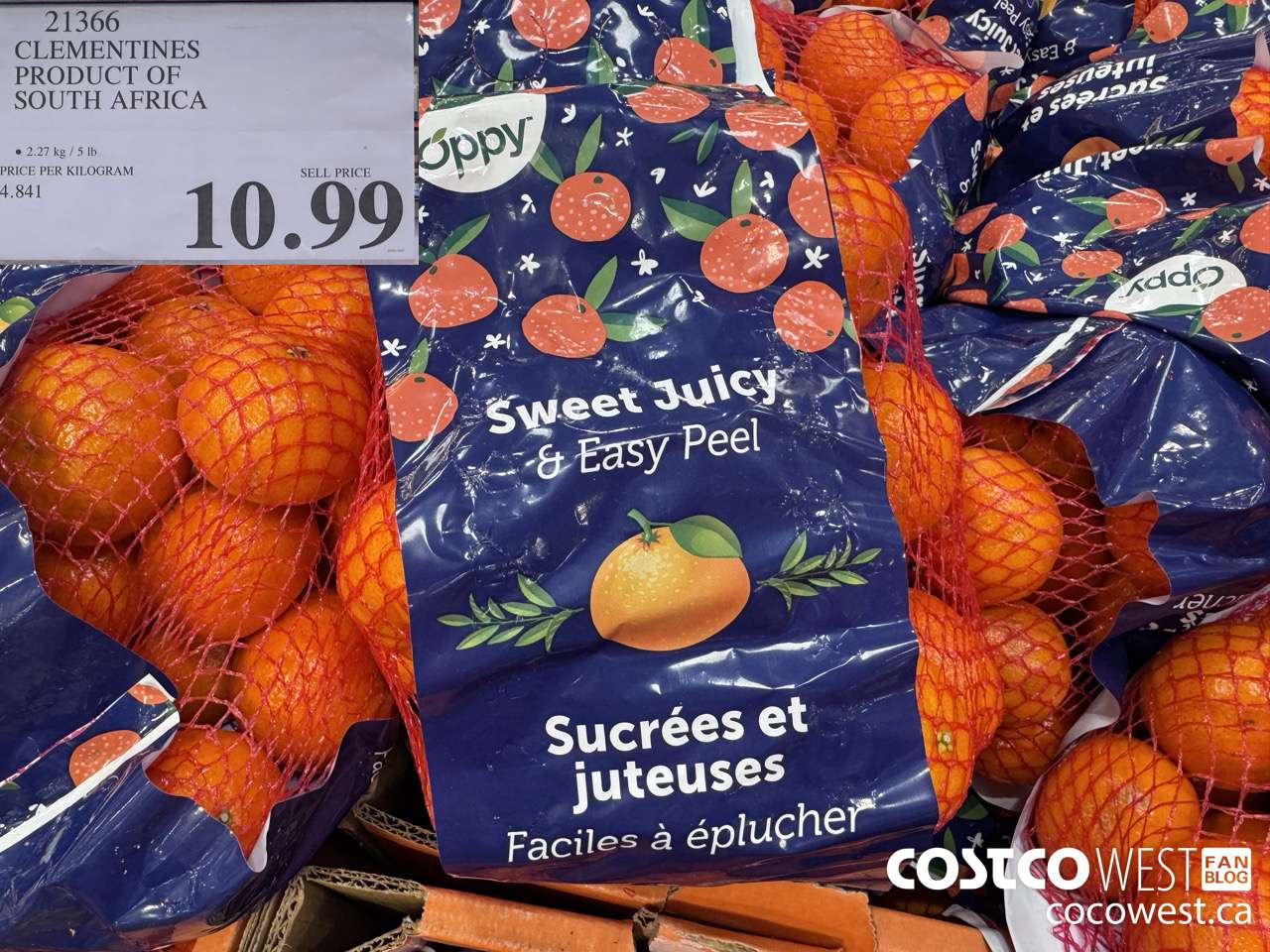 21366 CLEMENTINES PRODUCT OF SOUTH AFRICA $10.99