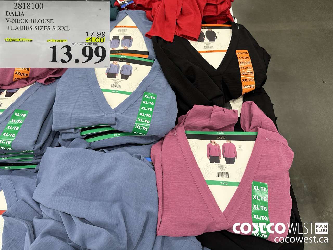 2818100 DALIA V-NECK BLOUSE LADIES SIZES S-XXL ($4.00 INSTANT SAVINGS EXPIRES ON 2024-10-20) $13.99